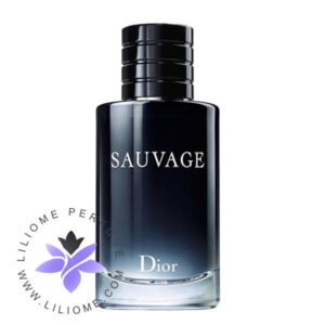 عطر ادکلن دیور ساواج-ساوج-ساواژ-Dior Sauvage