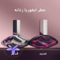 Ck Euphoria Women