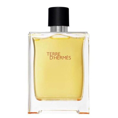 عطر ادکلن هرمس تق هرمس Hermes Terre d'Hermes 100 ml