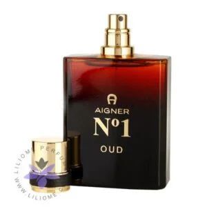 aigner No1 Oud