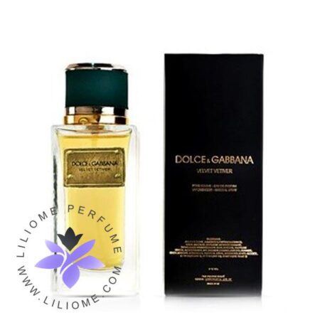 عطر ادکلن دلچه گابانا ولوت وتیور-Dolce Gabbana Velvet Vetiver