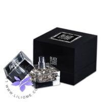 عطر ادکلن رامون مولویزار بلک کیوب-Ramon Molvizar Black Cube