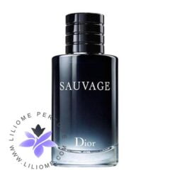 عطر ادکلن دیور ساواج-ساوج-ساواژ-Dior Sauvage 200 ml