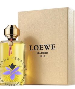 Loewe la discount bella cibeles