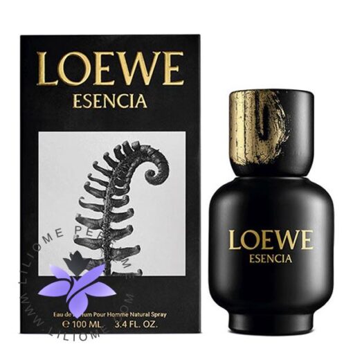 عطر ادکلن لوئو-لوئوه اسنسیا پور هوم ادو پرفیوم-Loewe Esencia pour Homme Eau de Parfum
