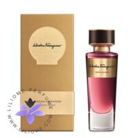 عطر ادکلن سالواتوره فراگامو جنتیل سونو-Salvatore Ferragamo Gentil Suono