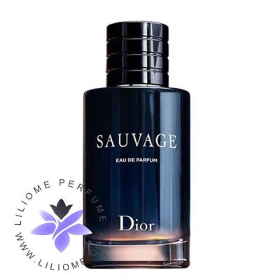 عطر ادکلن دیور ساواج ادو پرفیوم-Dior Sauvage Eau de Parfum 200ml
