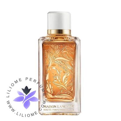 عطر ادکلن لانکوم سانتال کاردامون  Lancome Santal Kardamon