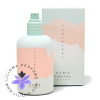 عطر ادکلن زارا پاین بری | Zara Pineberry