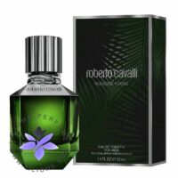 عطر ادکلن روبرتو کاوالی پاردایس فاوند (فوند) مردانه | Roberto Cavalli Paradise Found For men