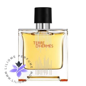 عطر ادکلن هرمس تق هرمس فلاکون اچ 2021 پارفوم | Hermes Terre d'Hermes Flacon H 2021 Parfum