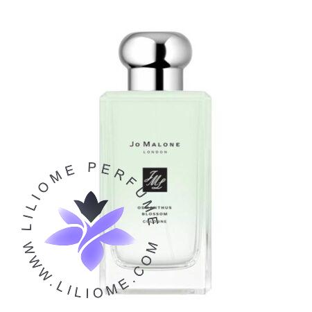عطر ادکلن جو مالون اسمانتوس کلون | Jo Malone Osmanthus Cologne