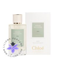 عطر ادکلن کلوهه آیریس | Chloé Iris