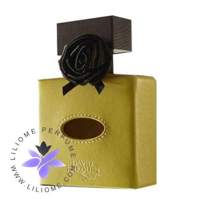 عطر ادکلن دیوید ژورکین کویر سولایر | David Jourquin Cuir Solaire