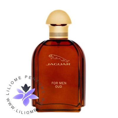 عطر ادکلن جگوار عود مردانه | Jaguar For Men Oud