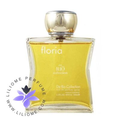 عطر ادکلن ریو فلوریا زنانه (مشابه ایفوریا زنانه) | Rio collection Floria for Women