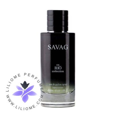 عطر ادکلن ریو ساواج (مشابه دیور ساواج) | Rio collection Savag