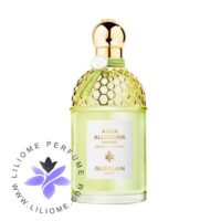 عطر ادکلن گرلن نرولیا وتیور هاروست | Guerlain Nerolia Vetiver Harvest