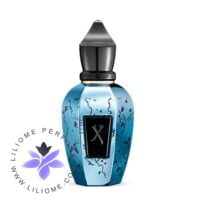 عطر ادکلن زرجف گروو اکسکپ | Xerjoff Groove Xcape