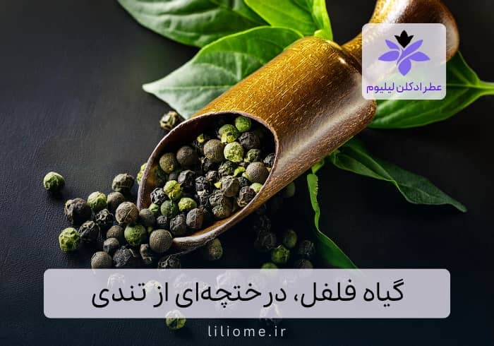 گیاه فلفل، درختچهای که در تندی کم نمیآورد