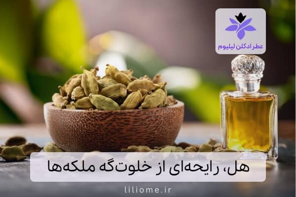 هل، رایحه‌ای از خلوت‌گه ملکه‌ها