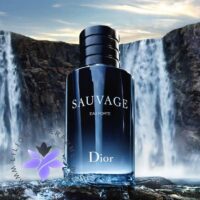 Dior Sauvage Eau Forte