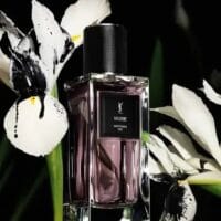 YSL Muse Inspiring Ink