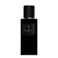 YSL 37 Rue de Bellechasse Elemi
