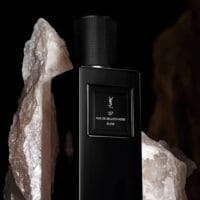 YSL 37 Rue de Bellechasse Elemi