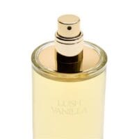 Zara Lush Vanilla