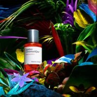 عطر ادکلن میسون کریویلی آمبر کروماتیک | Maison Crivelli Ambre Chromatique