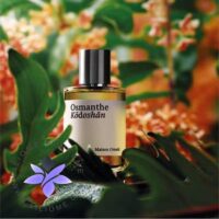 عطر ادکلن میسون کریولی عودمانته کُدوشان | Maison Crivelli Osmanthe Kodoshan