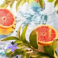 عطر ادکلن روژا داو الیزیوم او اینتنس | Roja Dove Elysium Eau Intense