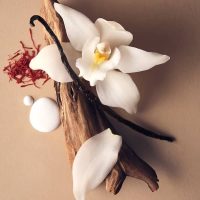 عطر ادکلن ویکتوریا سکرت بر سودید وانیلا | Victoria's Secret Bare Sueded Vanilla
