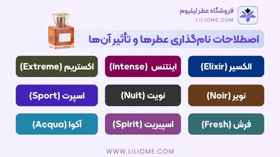 اصطلاحات نامگذاری عطرها و تأثیر آنها