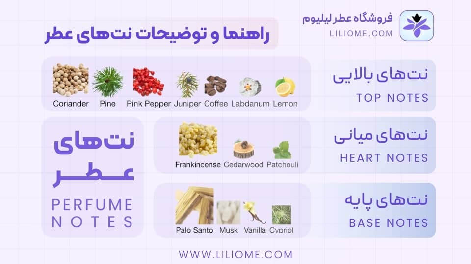 راهنما و توضیحات نتهای عطر