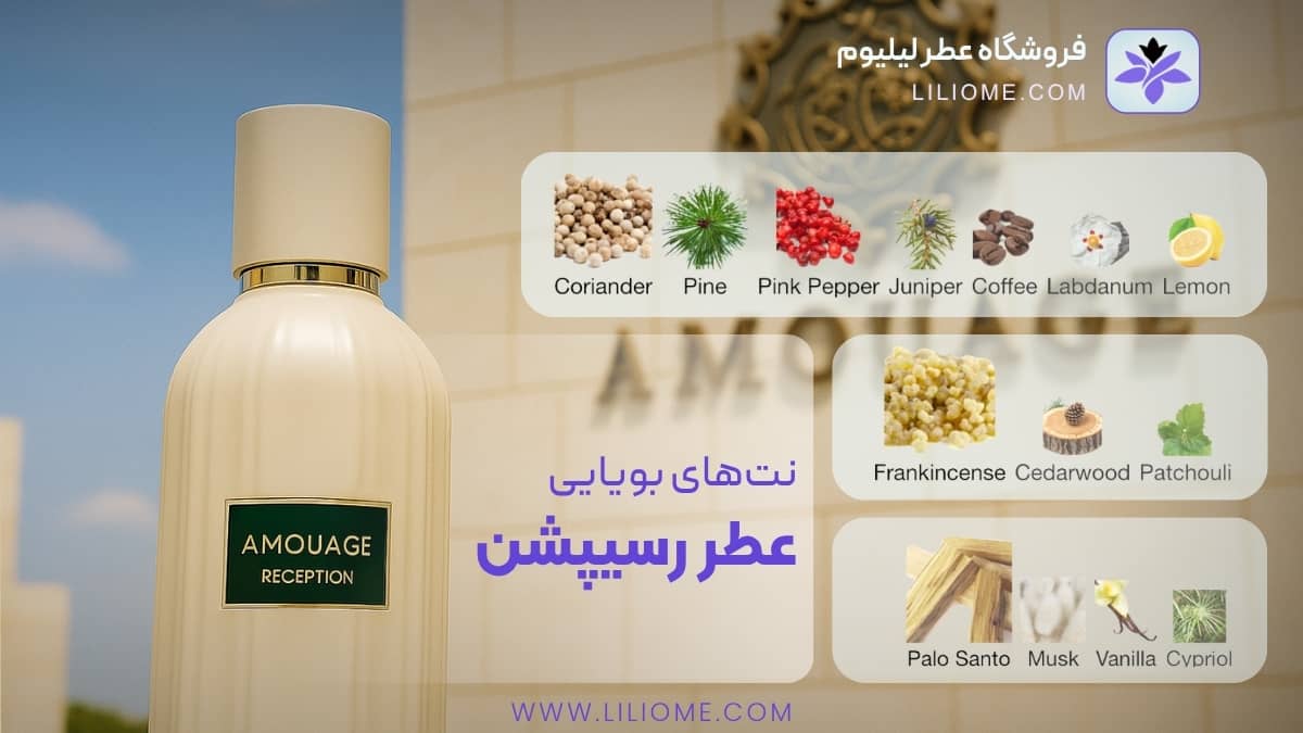نتهای بویایی عطر رسیپشن