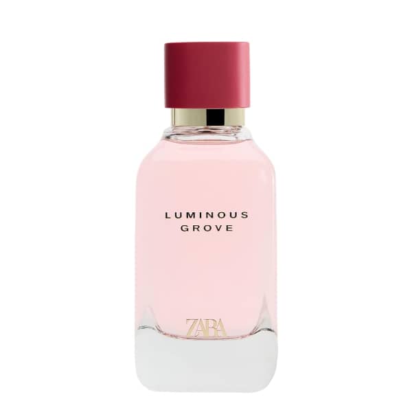 عطر ادکلن زارا لومینوس گروو | Zara Luminous Grove